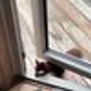 comment.user?.profileImg