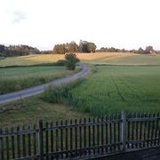 comment.user?.profileImg