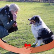 Opgaveejer for løst opgaver online