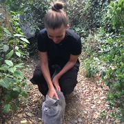 comment.user?.profileImg