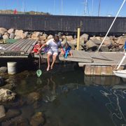 Opgaveejer for løst opgaver online