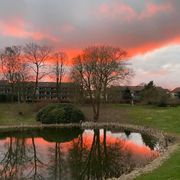 comment.user?.profileImg