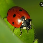 comment.user?.profileImg