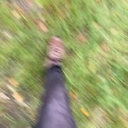 comment.user?.profileImg