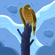 comment.user?.profileImg