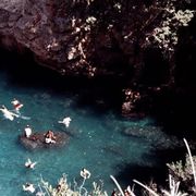 Opgaveejer for løst opgaver online