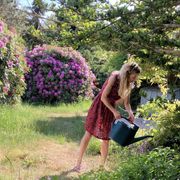 comment.user?.profileImg