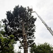 Opgaveejer for løst opgaver online