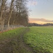 comment.user?.profileImg