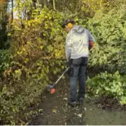 Opgaveejer for løst opgaver online