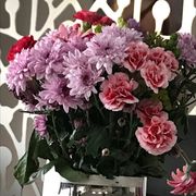 comment.user?.profileImg