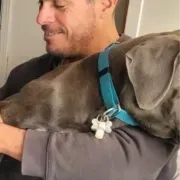 Opgaveejer for løst opgaver online