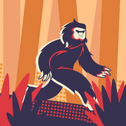 comment.user?.profileImg