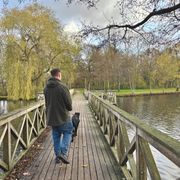 Opgaveejer for løst opgaver online