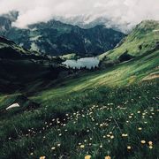 comment.user?.profileImg