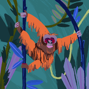 comment.user?.profileImg