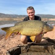 comment.user?.profileImg