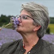 comment.user?.profileImg