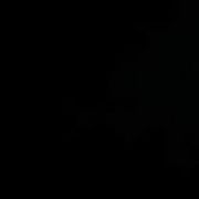 comment.user?.profileImg