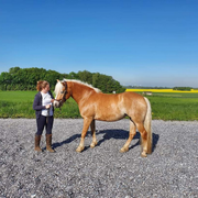 comment.user?.profileImg