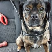 Opgaveejer for løst opgaver online