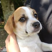 comment.user?.profileImg