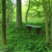 comment.user?.profileImg