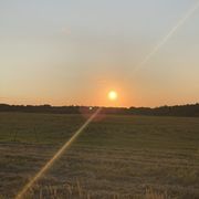 comment.user?.profileImg