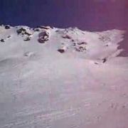 comment.user?.profileImg