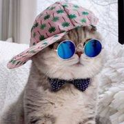 comment.user?.profileImg