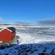 Opgaveejer for løst opgaver online