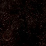 comment.user?.profileImg