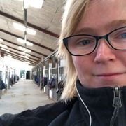 comment.user?.profileImg