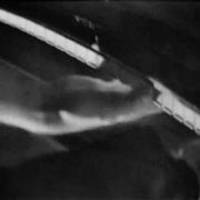 comment.user?.profileImg