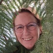 comment.user?.profileImg