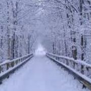 comment.user?.profileImg