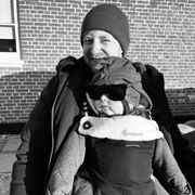 comment.user?.profileImg