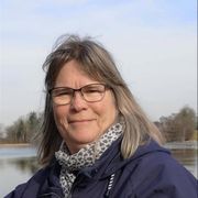 comment.user?.profileImg