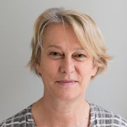 comment.user?.profileImg