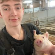 Opgaveejer for løst opgaver online