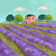 comment.user?.profileImg