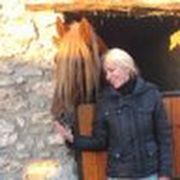 comment.user?.profileImg