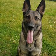 comment.user?.profileImg