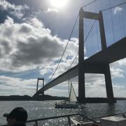 comment.user?.profileImg