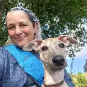 comment.user?.profileImg