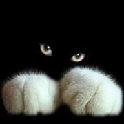 Opgaveejer for løst opgaver online