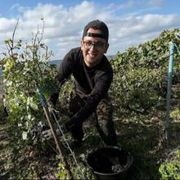 Opgaveejer for løst opgaver online