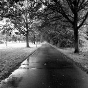 comment.user?.profileImg