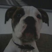 comment.user?.profileImg