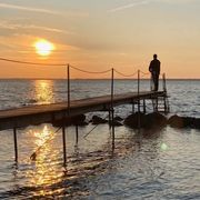 comment.user?.profileImg